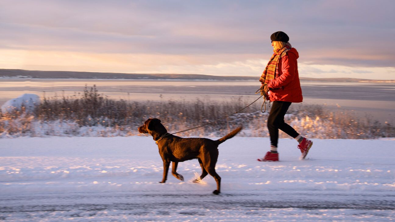 Woman walking dog in snowy landscape