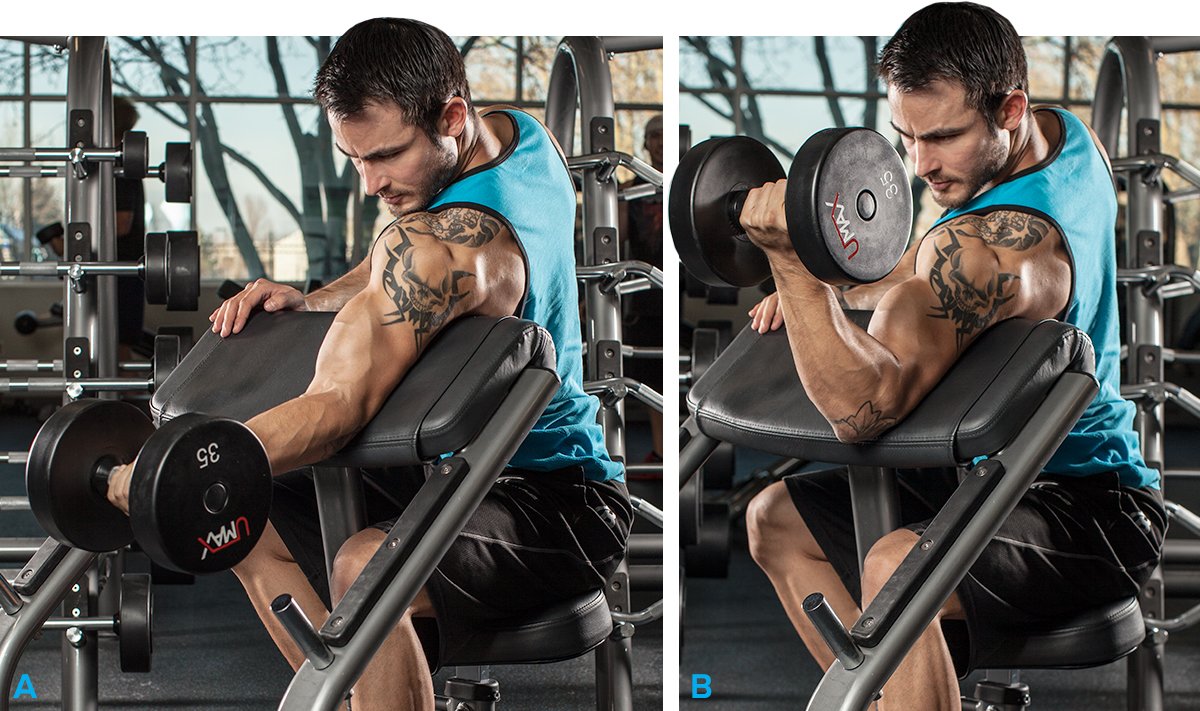 Man doing bicep curl exercise