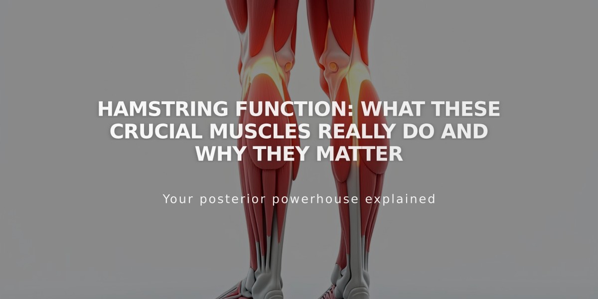 Hamstring Function: What These Crucial Muscles Really Do And Why They Matter