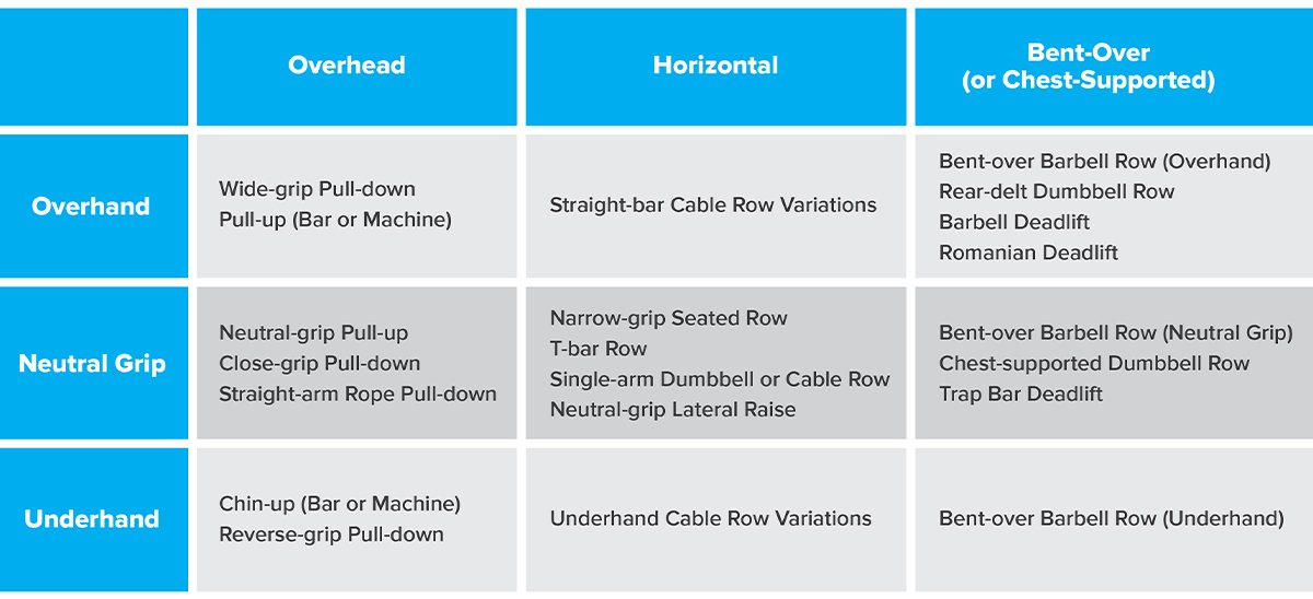 Pull-ups vs Rows exercise comparison