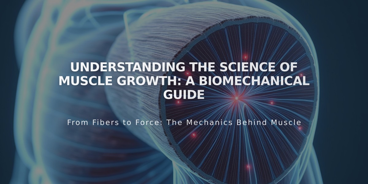 Understanding The Science Of Muscle Growth: A Biomechanical Guide