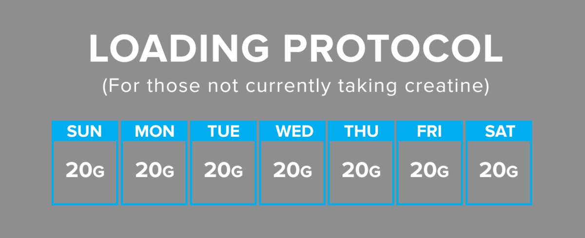 Creatine loading and maintenance protocol chart