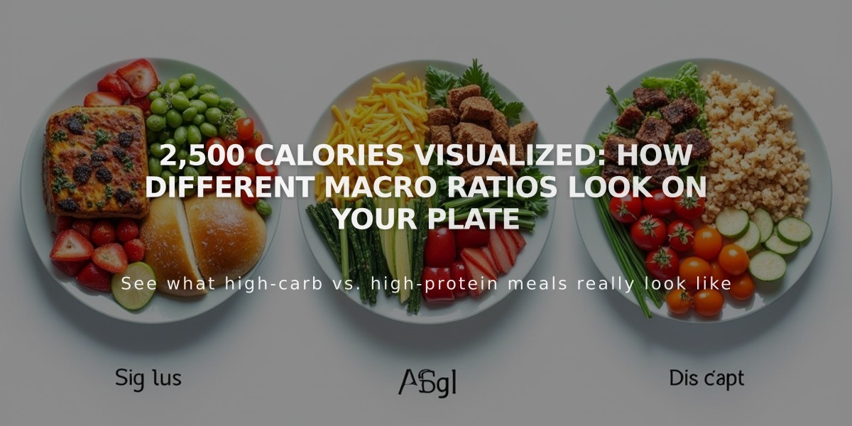 2,500 Calories Visualized: How Different Macro Ratios Look on Your Plate