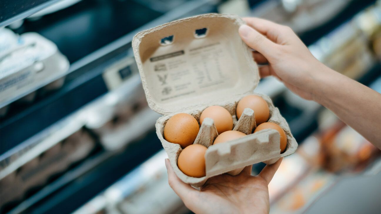 Hand holding carton of eggs