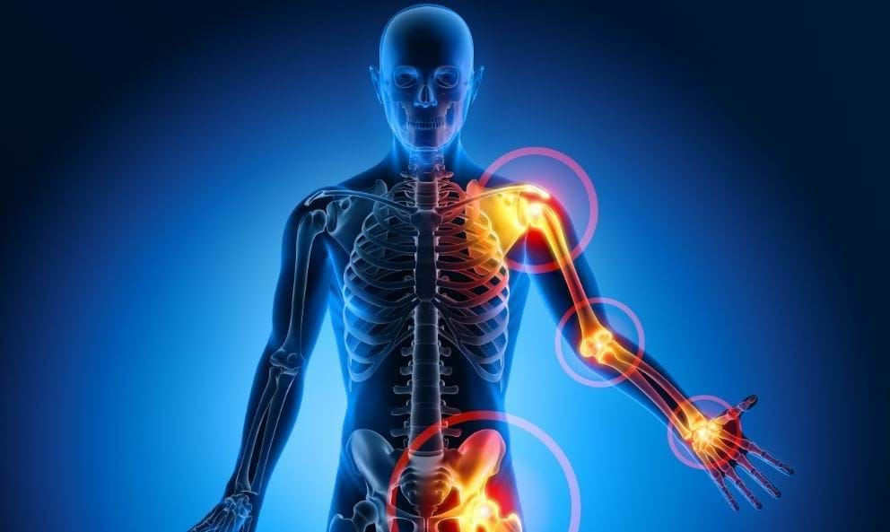 Medical skeleton showing joint locations