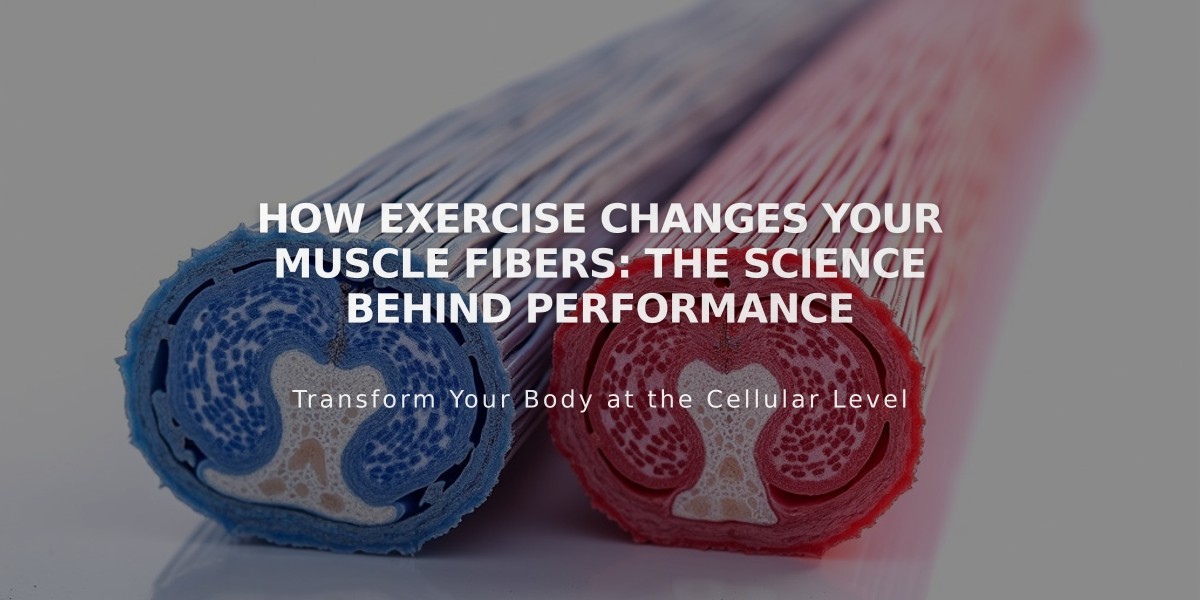 How Exercise Changes Your Muscle Fibers: The Science Behind Performance