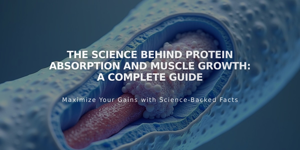 The Science Behind Protein Absorption and Muscle Growth: A Complete Guide