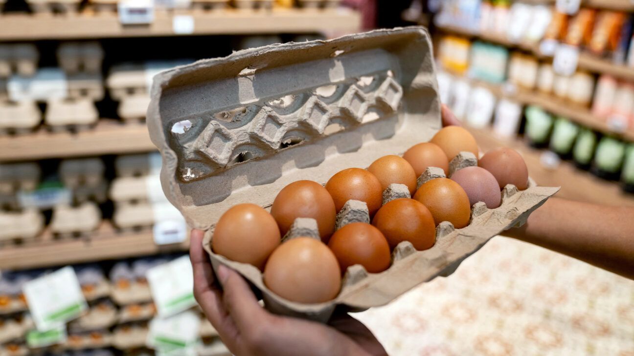 Hands holding dozen store-bought eggs