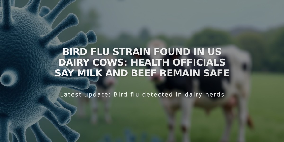 Bird Flu Strain Found in US Dairy Cows: Health Officials Say Milk and Beef Remain Safe