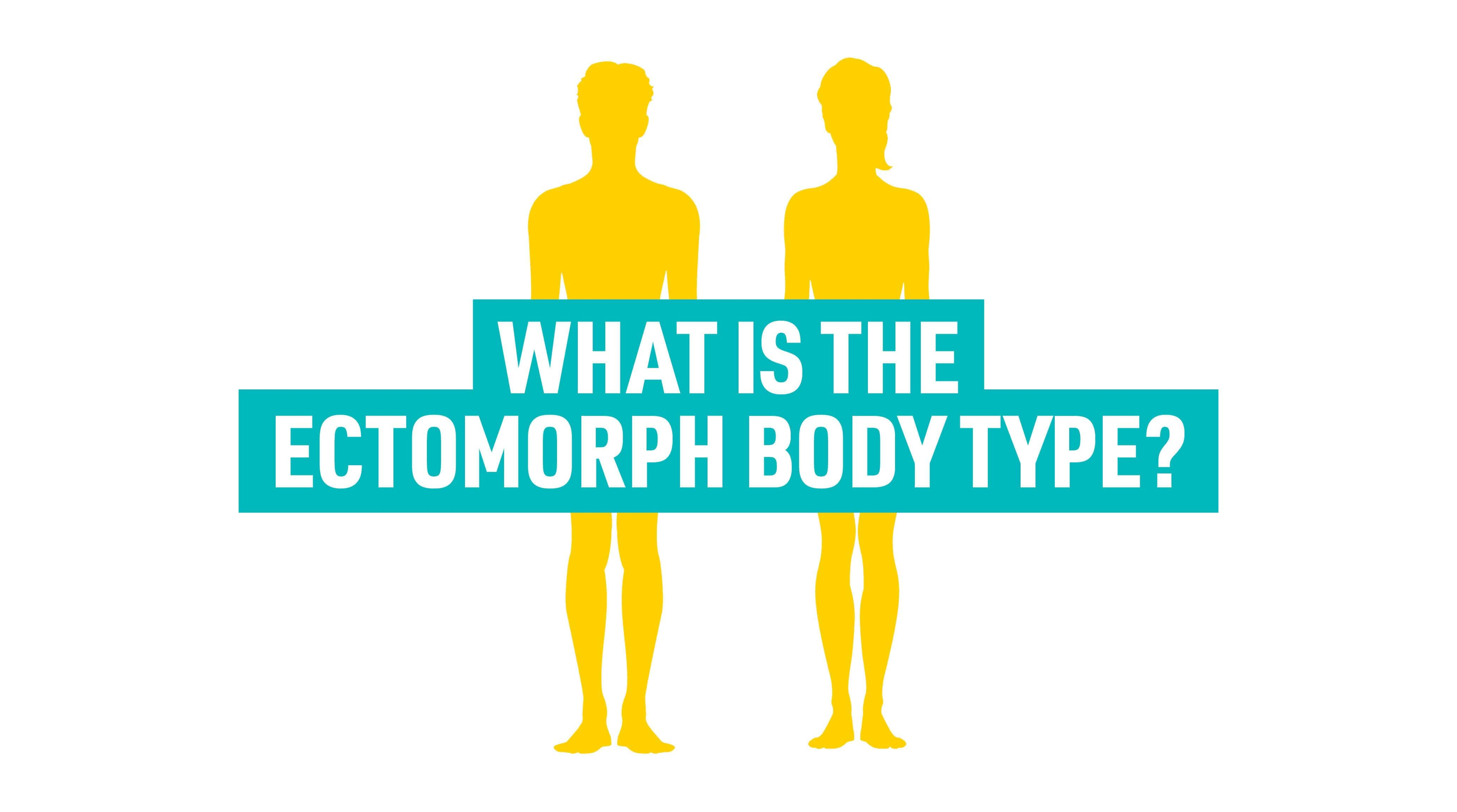 Two ectomorph body type silhouettes