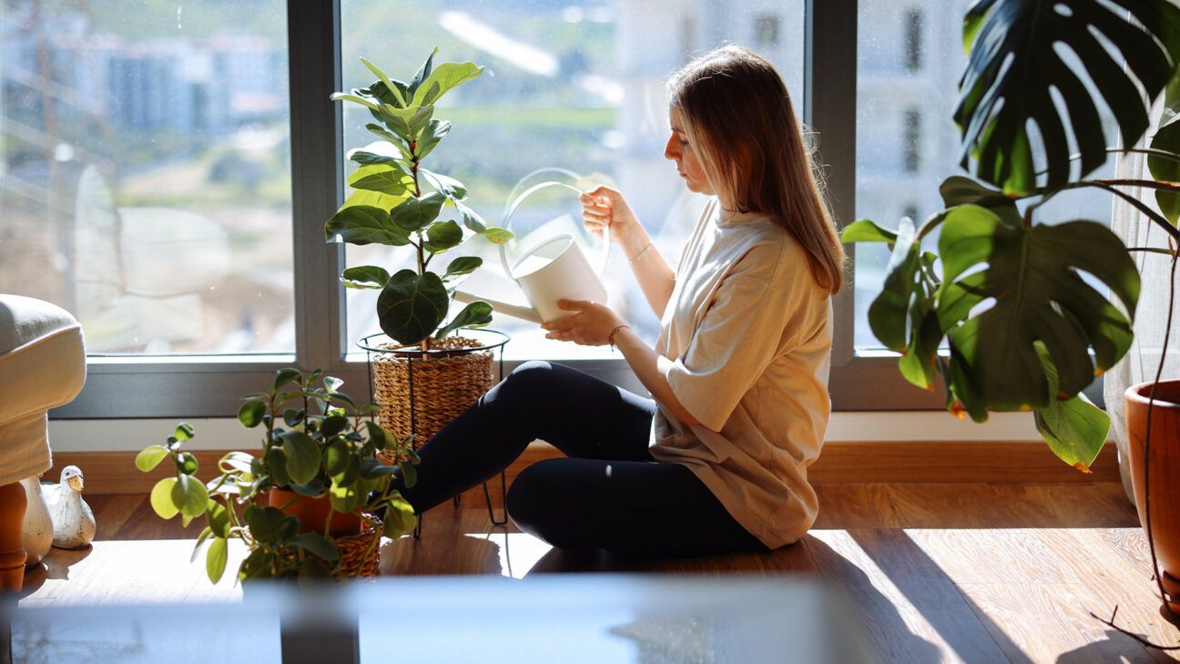 Woman watering indoor houseplants